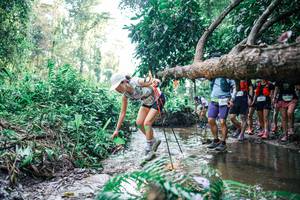 BIB: 
                            <button type="button" onclick="openModal(25453623)" class="btn btn-primary btn-sm float-right btn-popup" data-toggle="modal" data-target=".modal-high-quality">
                        <i class="fas fa-shopping-cart"></i> Add to Cart
                    </button>
                                            <button type="button" onclick="isThisMe(25453623, true)" class="btn btn-success btn-sm float-right btn-popup btn-isme hidden" data-toggle="tooltip" data-placement="bottom" title="นี่คือรูปของคุณใช่ไหม คลิกที่นี่เพื่อเอาเข้าอัลบั้ม">
                        <i class="fas fa-plus"></i> Add to album
                    </button>
                    <button type="button" onclick="isThisMe(25453623, false)" class="btn btn-warning btn-sm float-right btn-popup btn-isnotme hidden">
                        <i class="fas fa-ban"></i> Remove from album
                    </button>